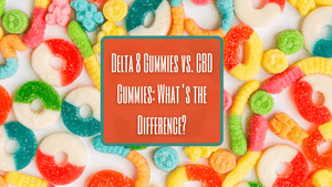 Delta 8 THC Gummies vs. CBD Gummies: What’s the Difference?