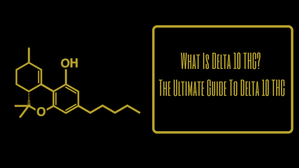 What Is Delta 10 THC? The Ultimate Guide To Delta 10 THC