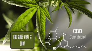 CBD Guide: What Is CBD?