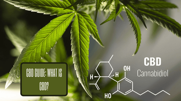 CBD Guide: What Is CBD?
