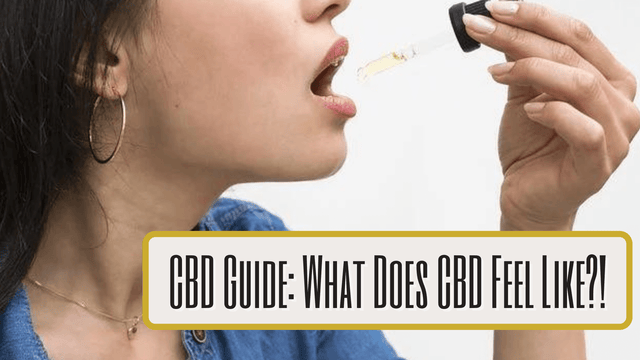 CBD Guide: What Does CBD Feel Like?