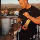 JustPets - CBD Dog Treats - CBD for Dogs