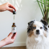 JustPets - CBD Oil For Dogs - Bacon Flavored - CBD for Dogs