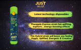 JustDelta - Delta 8 THC Disposables Vape Pods - Pineapple Express - 1000mg - 6 Pack