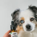 JustPets - CBD Oil For Dogs -  Beef Flavored - CBD for Dogs